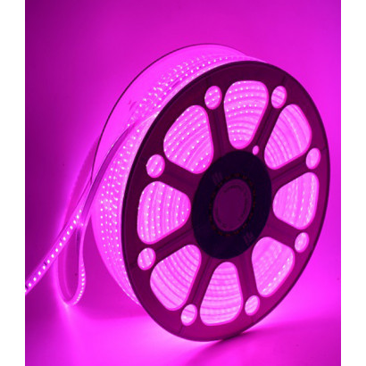 Cinta LED 220V violeta 60 led