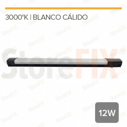MG35 EVORA- FOCO LINEAL...