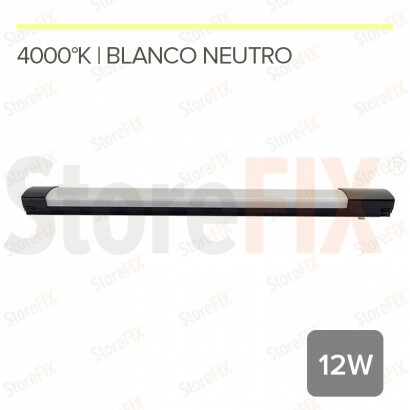 MG35 EVORA- FOCO LINEAL...
