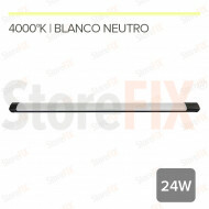 MG35 EVORA- FOCO LINEAL...