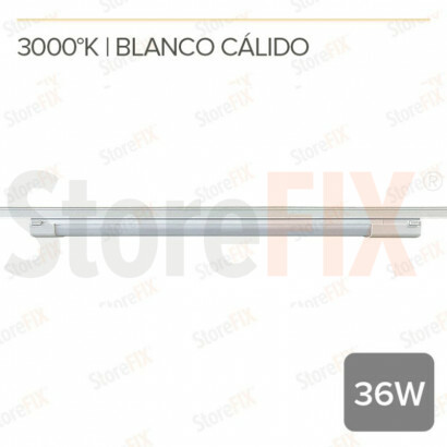 MG35 EVORA- FOCO LINEAL...