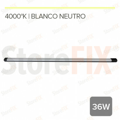 MG35 EVORA- FOCO LINEAL...
