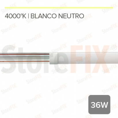 MG35 EVORA- FOCO LINEAL...