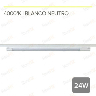 MG35 EVORA- FOCO LINEAL...