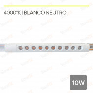 MG35 OPORTO- FOCO LINEAL...
